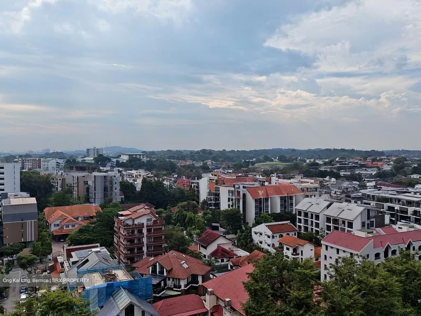 Suites @ Newton (D11), Apartment #595797981